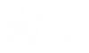 Massey University White