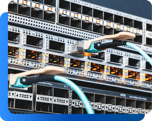 Cohesity - Cable