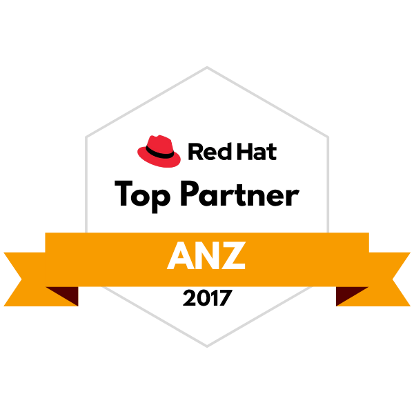 RH Top Partner - 2017 v2